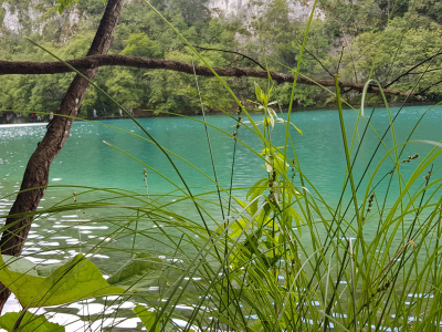 20180623_154105